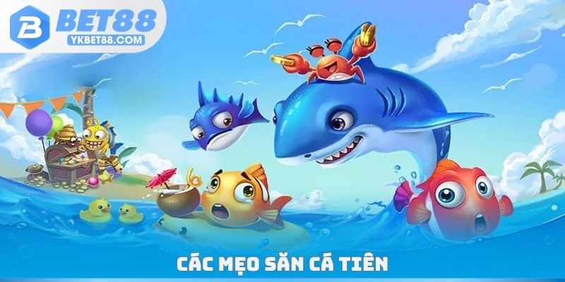 Các mẹo săn cá tiên