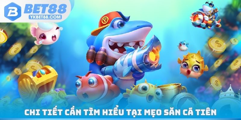 Chi tiết cần tìm hiểu tại mẹo săn cá tiên