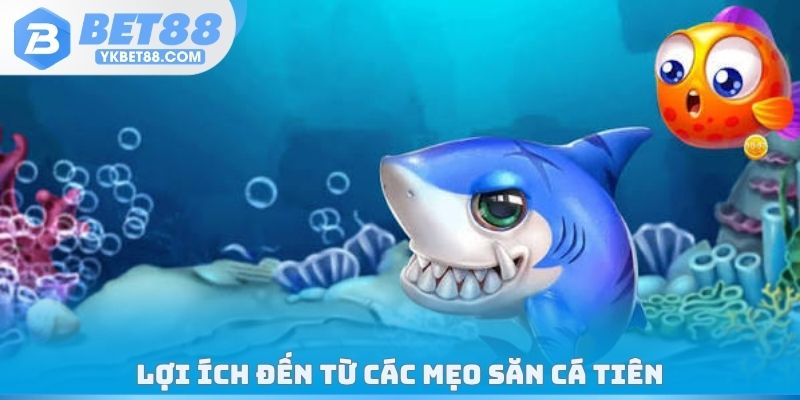 Lợi ích đến từ các mẹo săn cá tiên