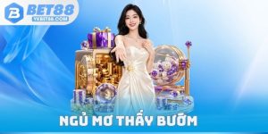 Ngủ Mơ Thấy Bướm