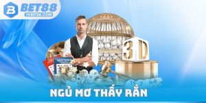 Ngủ Mơ Thấy Rắn